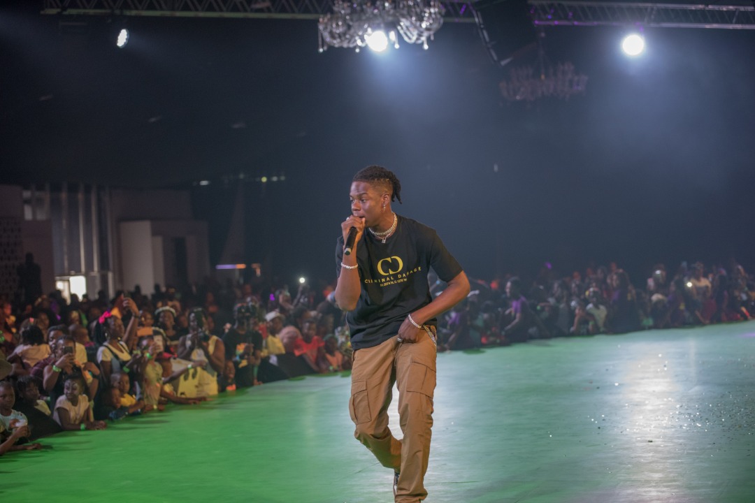 Patoranking, Teni, Fireboy, Rema Deliver Show-Stopping Performances At NickFest 2019