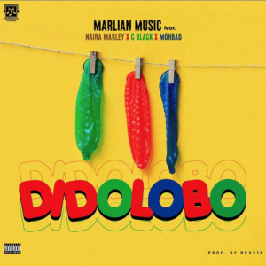 Didolobo naira marley