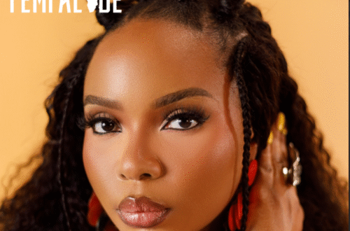 Yemi Alade shawa Shawa davinciblog